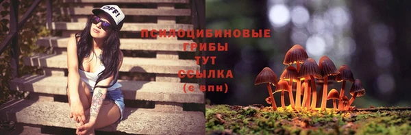 герыч Дмитровск