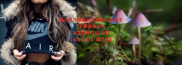 герыч Дмитровск