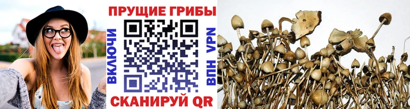 Галлюциногенные грибы MAGIC MUSHROOMS  Купить закладки  Ишим 